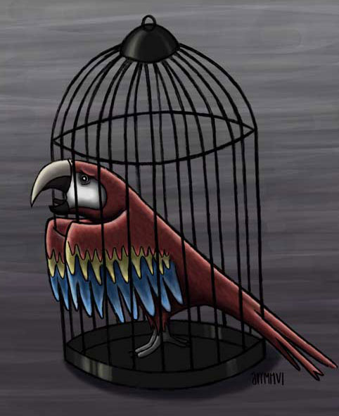 Lintuhäkki ei ole linnun vankila