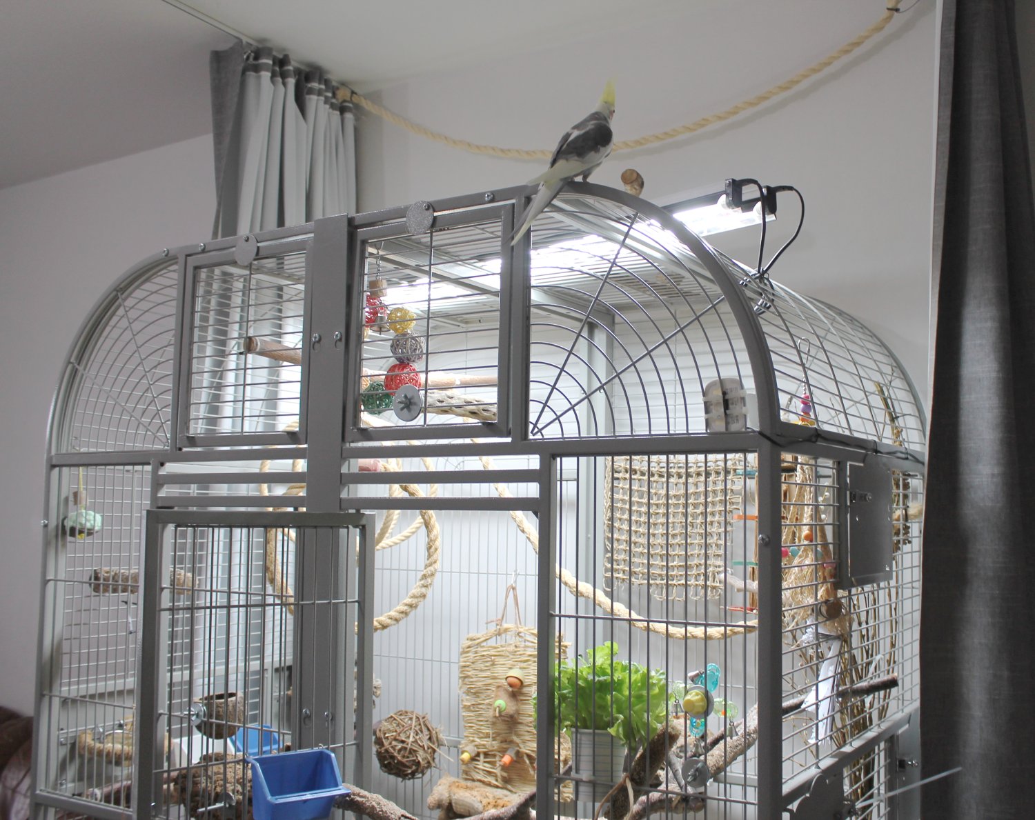 Neitokakadun häkki.