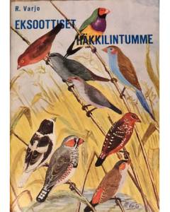 Eksoottiset häkkilintumme